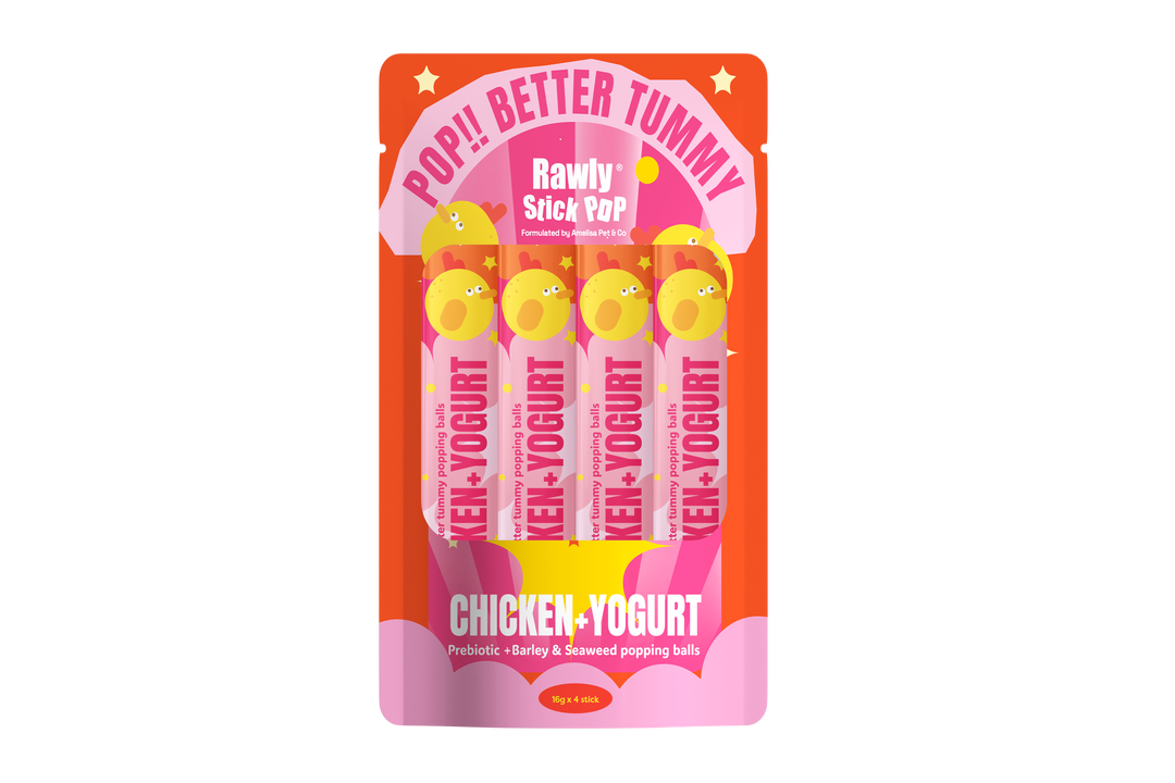 Rawly Stick POP | Chicken & Yoghurt
