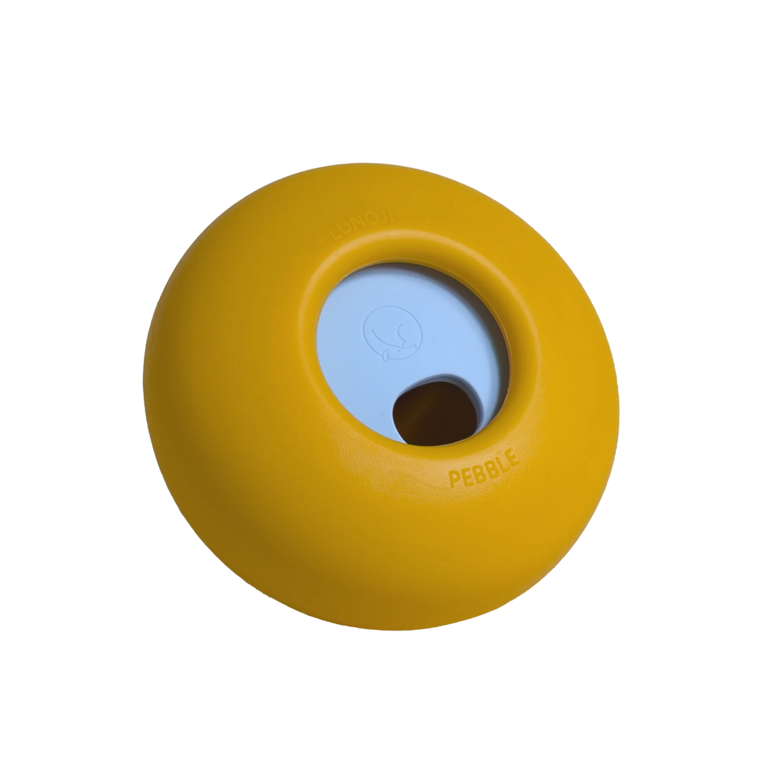 Pebble | All-in-One Puzzle Toy