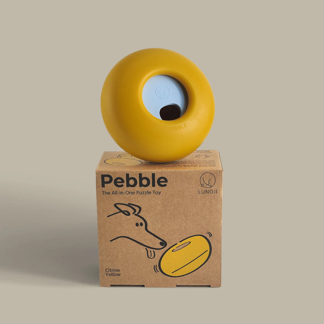 Pebble | All-in-One Puzzle Toy