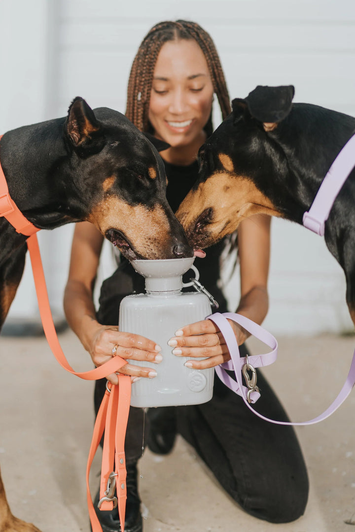 44oz Original Dog Travel Water Bottle