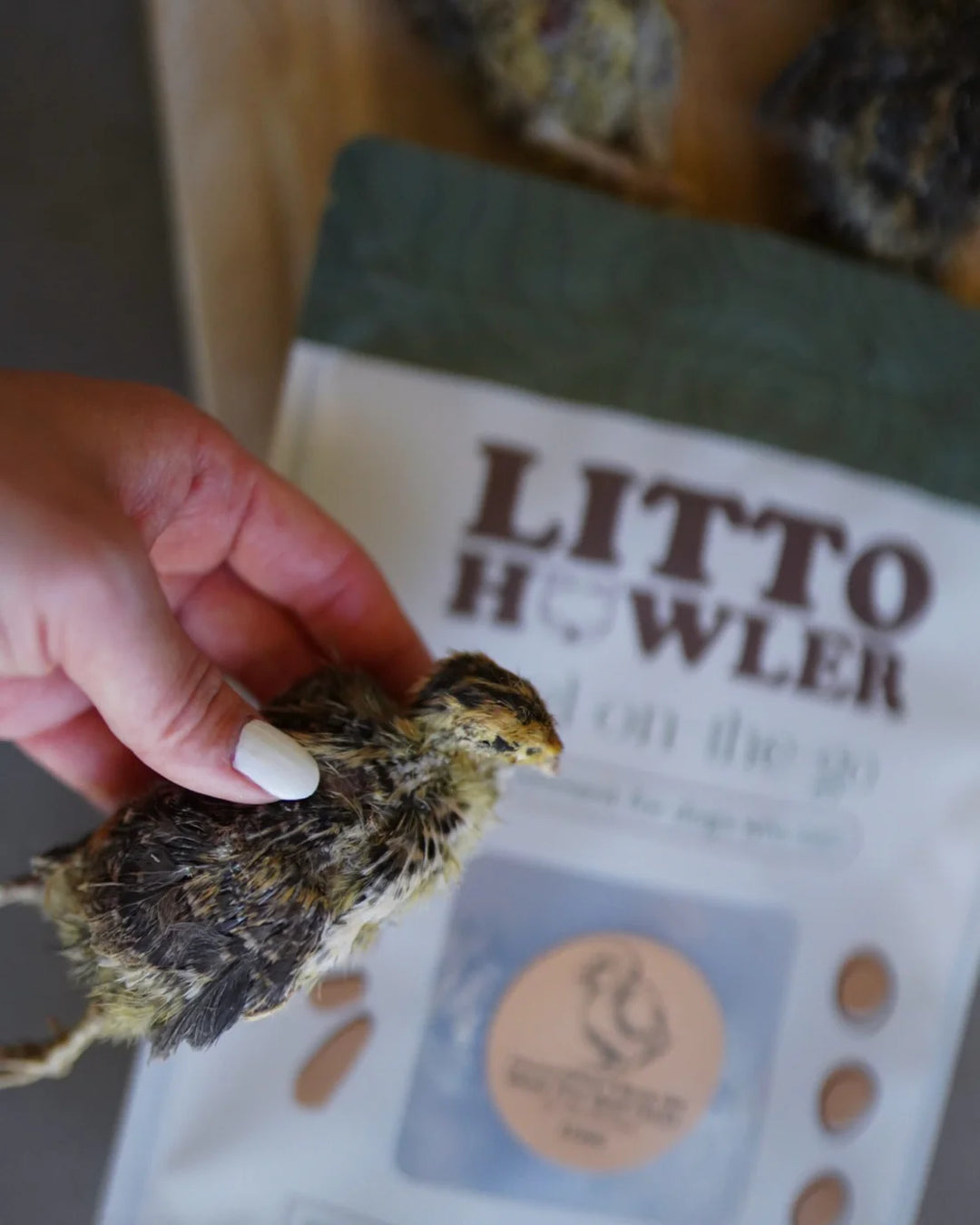 Freeze-Dried Whole Prey 2-Week Old Quail Chicks | Litto Howler