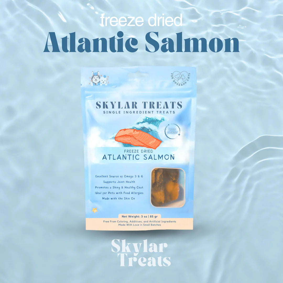 Freeze Dried Wild Salmon