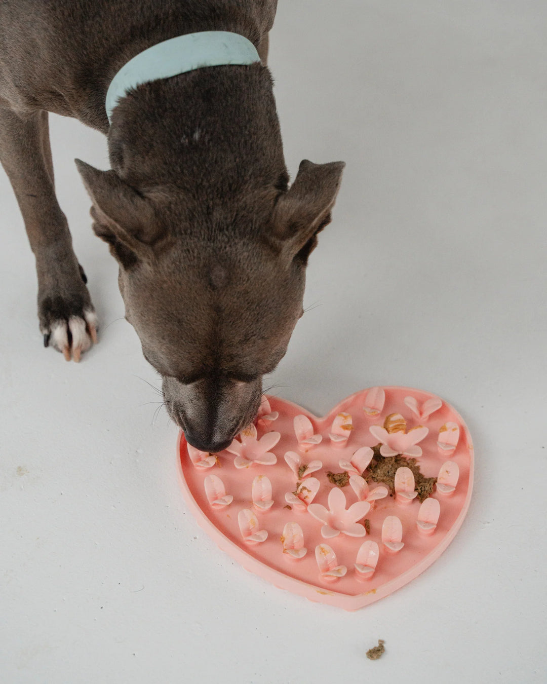 Blush Pink Heart Enrichment Snuffle Mat