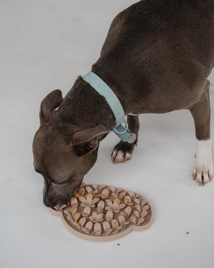 Nude Dog Head Enrichment Snuffle Mat