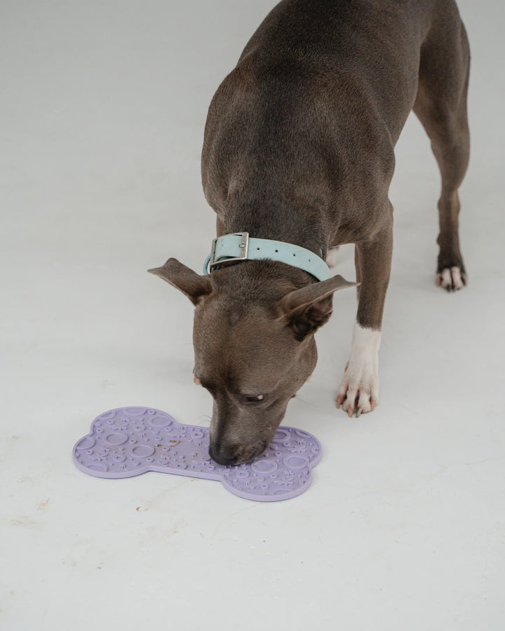 Lilac Bone Enrichment Lick Mat