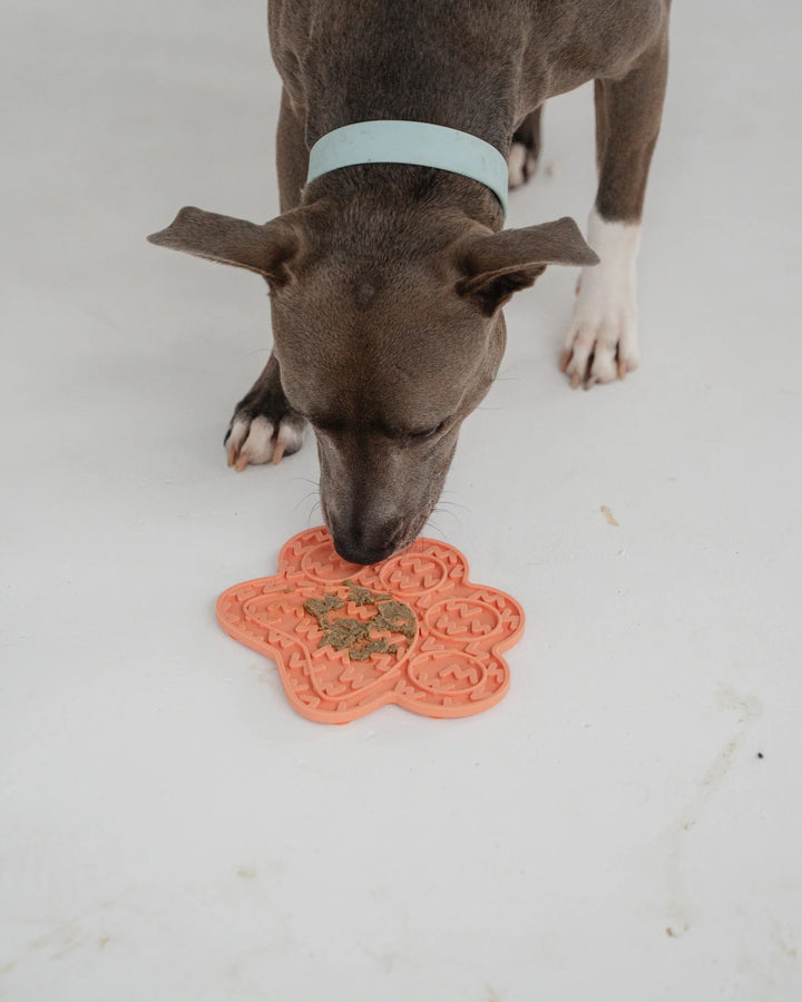 Coral Paw Print Enrichment Lick Mat