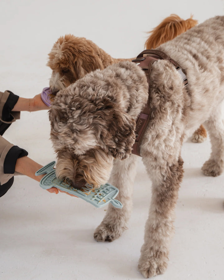 Seafoam Bark Day Bash Enrichment Lick Mat