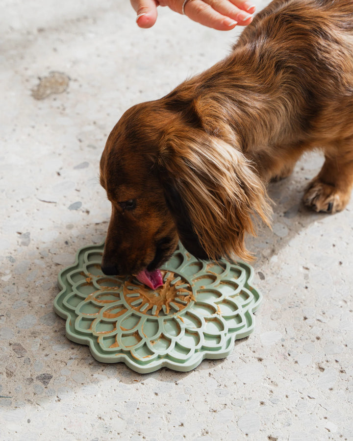 Sage Green Blooming Blossom Enrichment Lick Mat