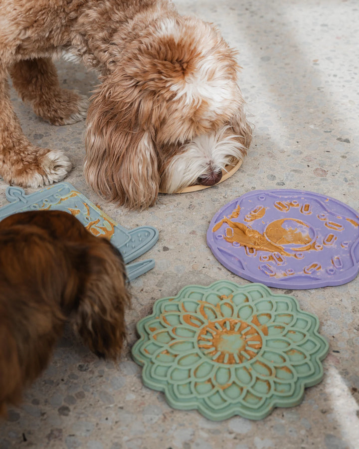 Sage Green Blooming Blossom Enrichment Lick Mat