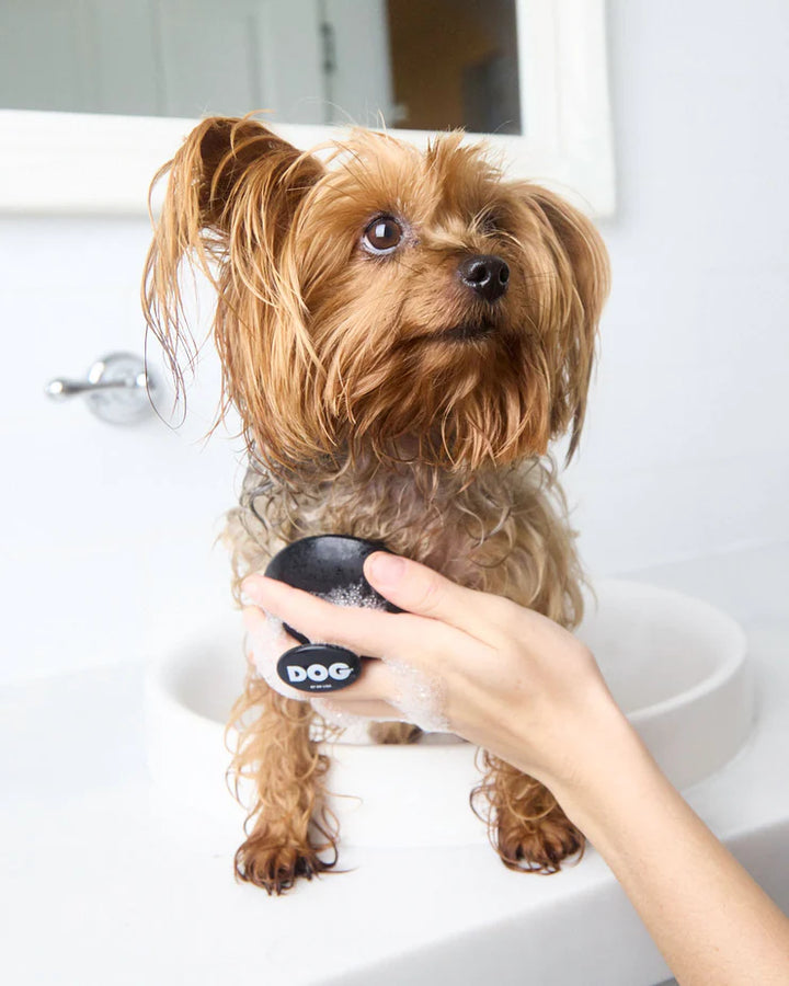 DOG Massage Brush