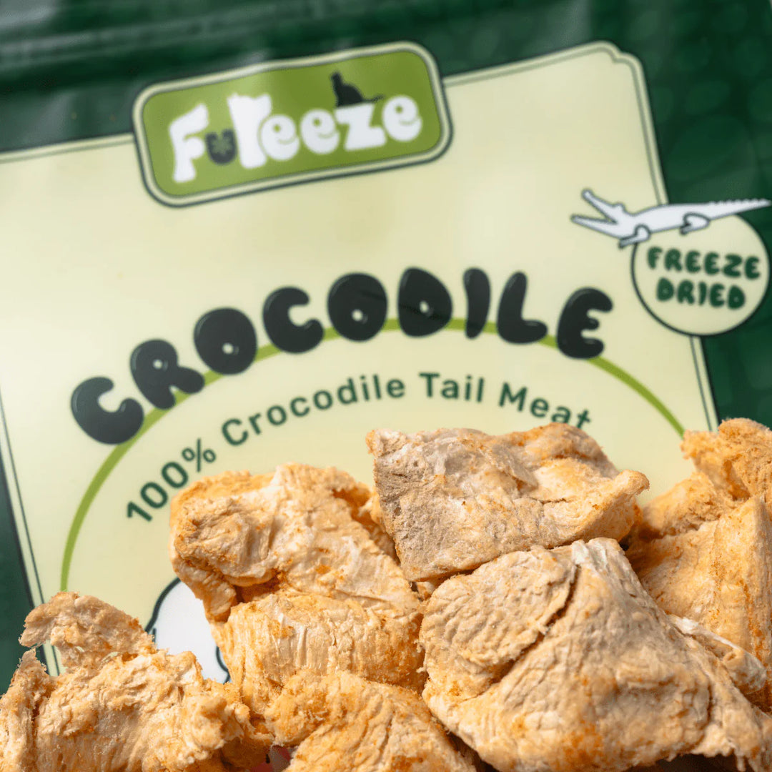 Freeze Dried Crocodile Meat