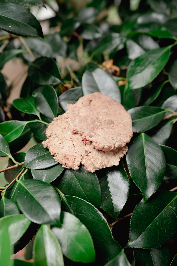 Butchered Ground Rabbit | Freeze-Dried Dog + Cat Treat