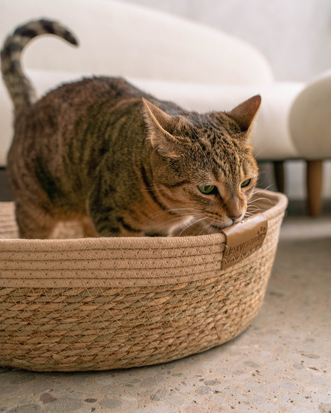 Neutral Cat Basket Bed with Cozy Pillow Insert