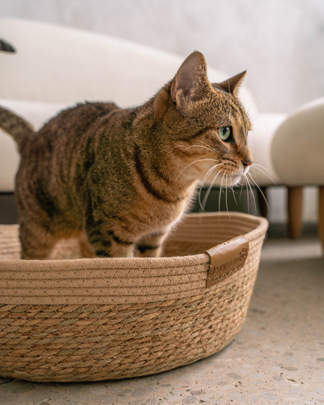 Neutral Cat Basket Bed with Cozy Pillow Insert