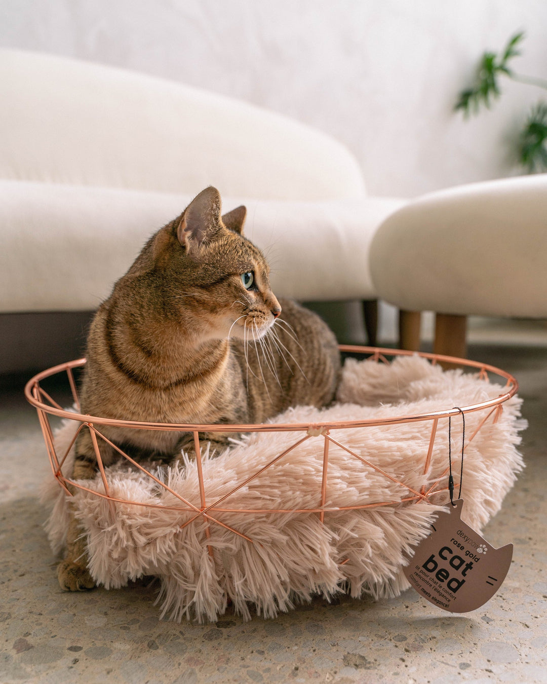 Rose Gold Wire Cat Bed with Anti-Stress Cushion