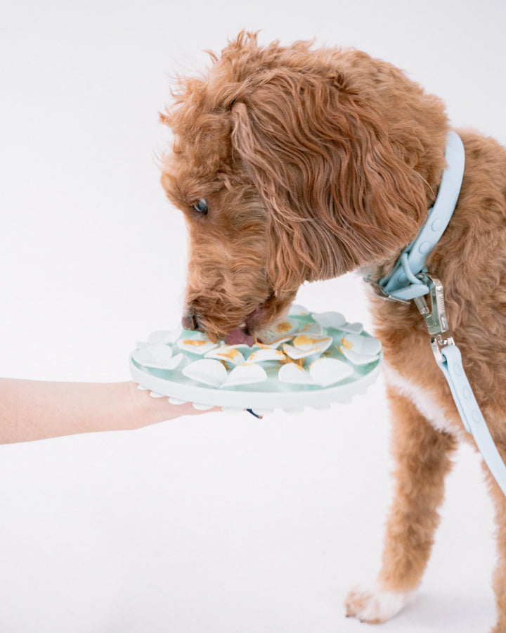 Sky Blue Circle Enrichment Snuffle Mat