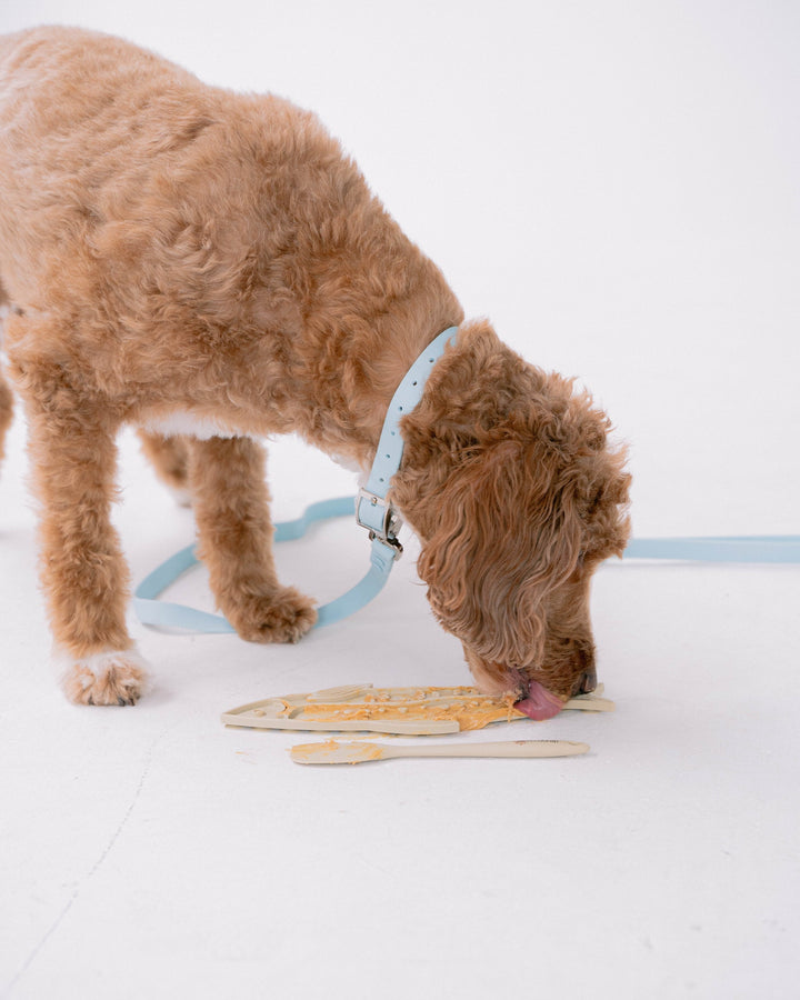 Camping Edition: Fish Enrichment Lick Mat with Spatula Set