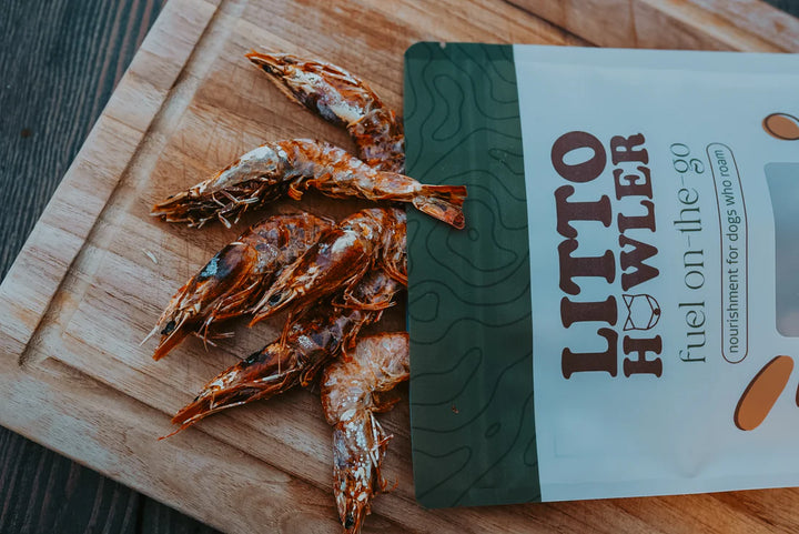 White Shrimp