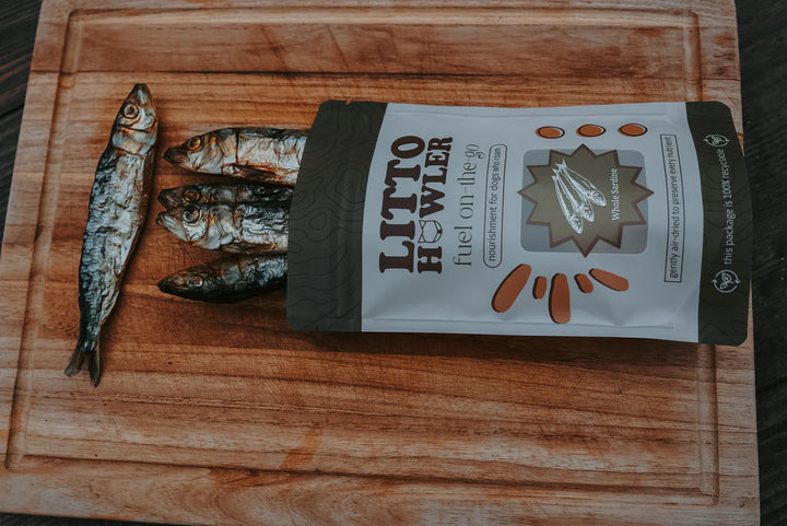 Whole Sardines