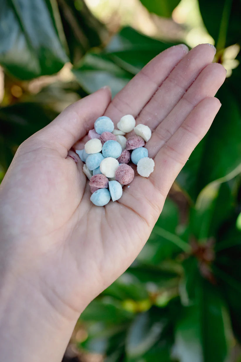 Egg White & Goat Milk with blue spirulina + beet root | Freeze-Dried Dog + Cat Treat