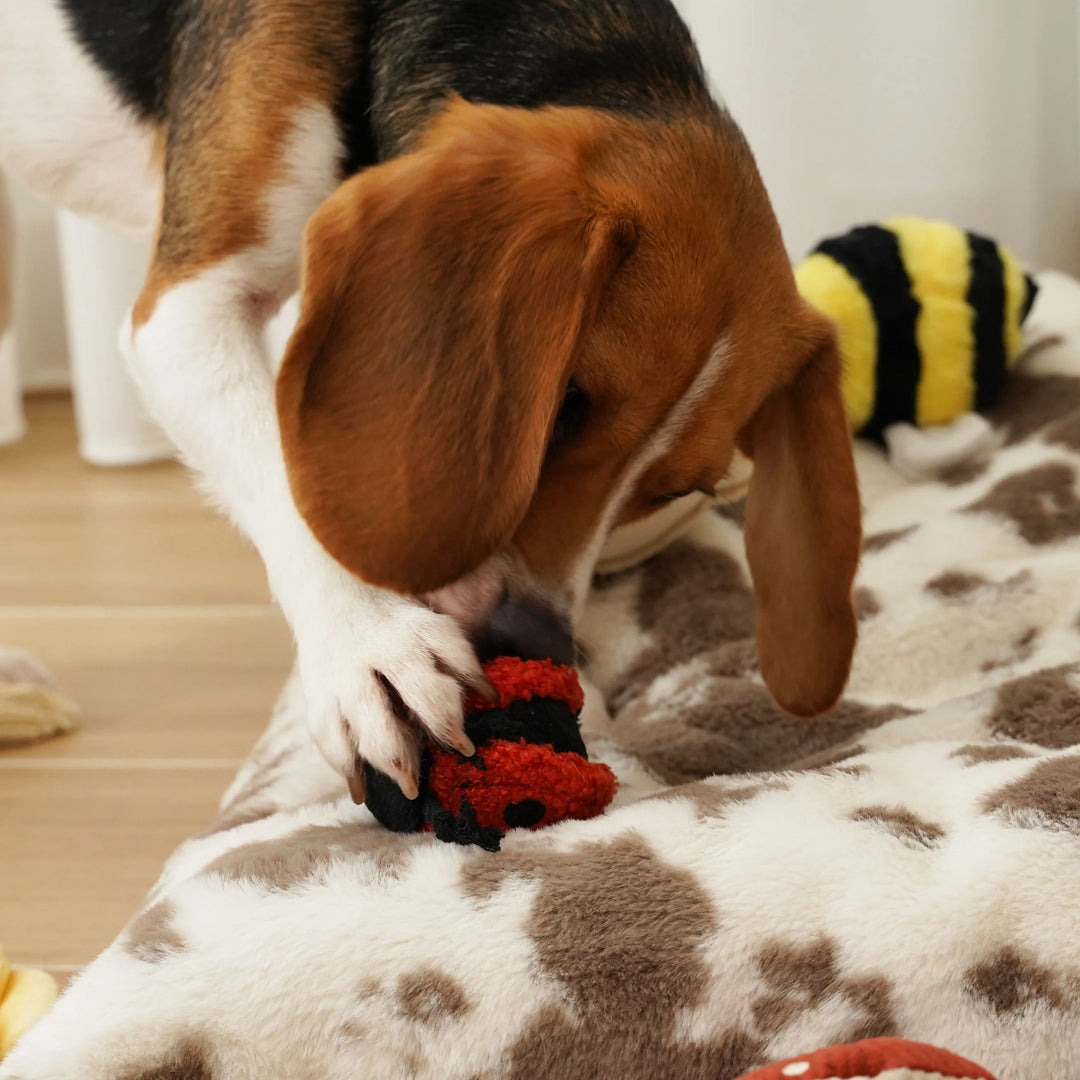Ladybug Pop