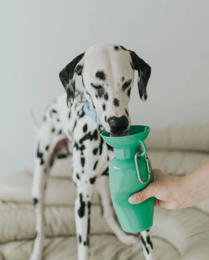 22oz Original Dog Travel Water Bottle