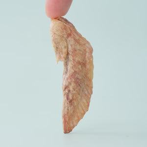 Chicken Wing Tip