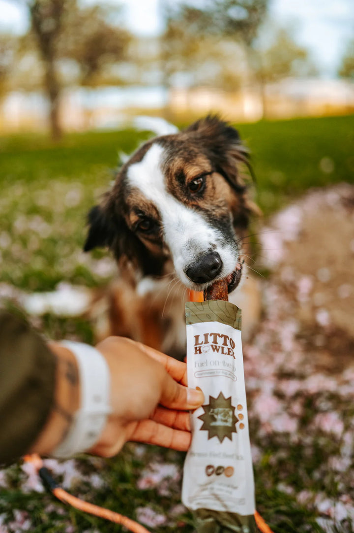 Grass-Fed Beef Stick
