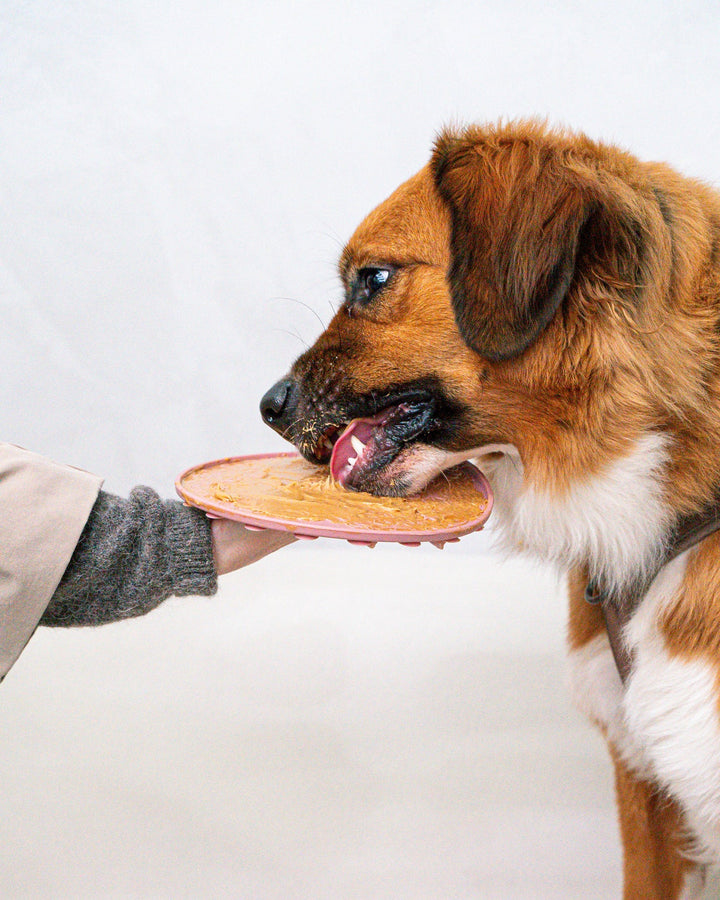 2 Piece Ornament Lick Mat & Spatula Set