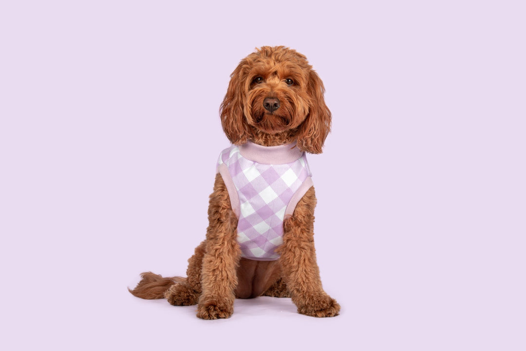 Dog Fleece Pyjamas | Berry Gingham