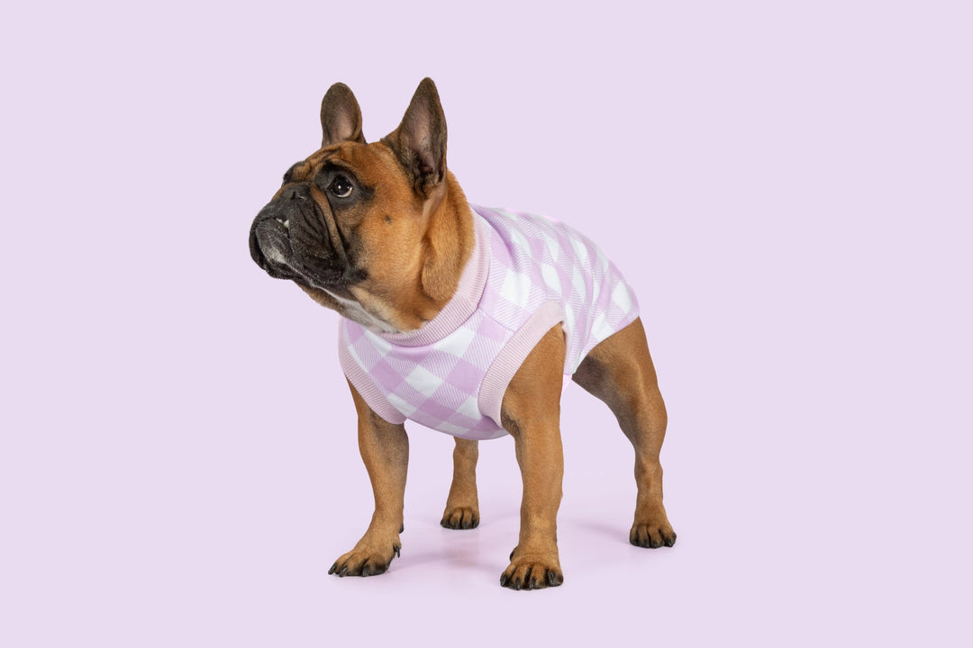 Dog Fleece Pyjamas | Berry Gingham