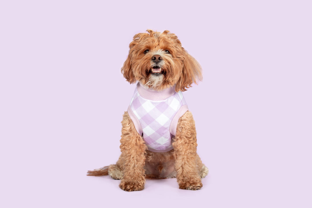 Dog Fleece Pyjamas | Berry Gingham