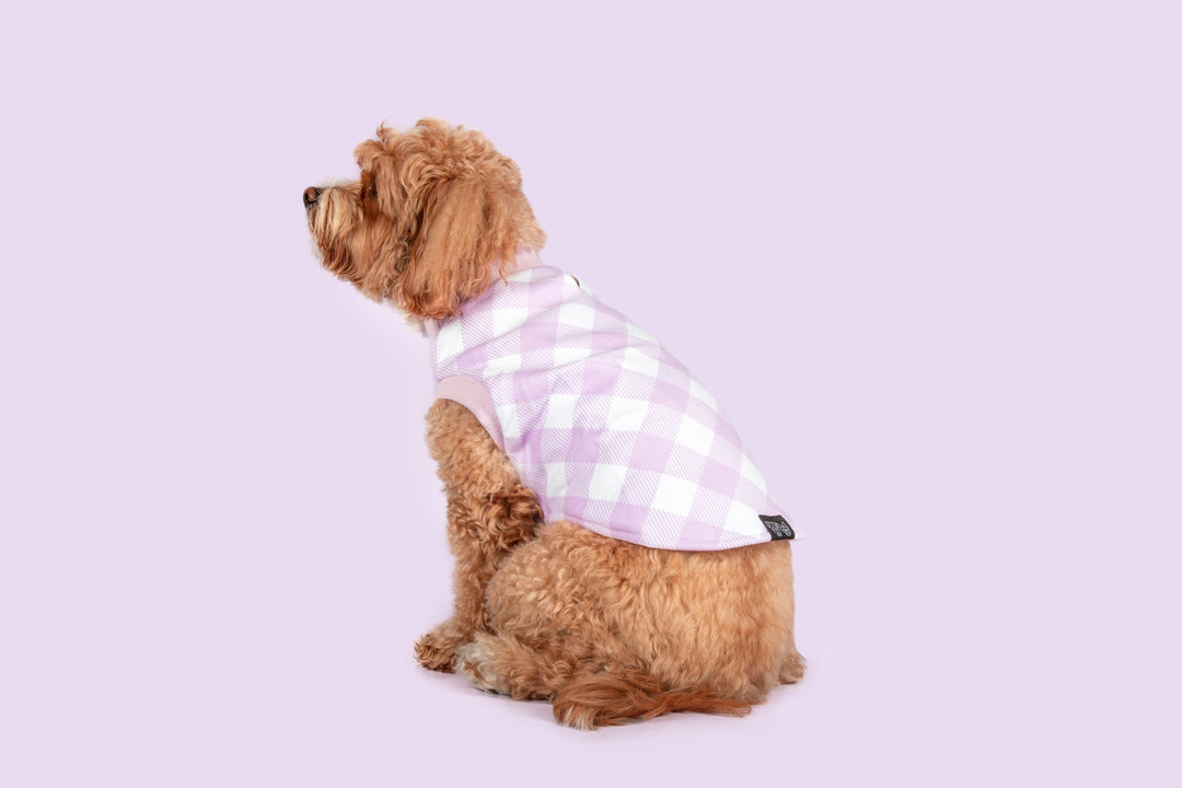 Dog Fleece Pyjamas | Berry Gingham