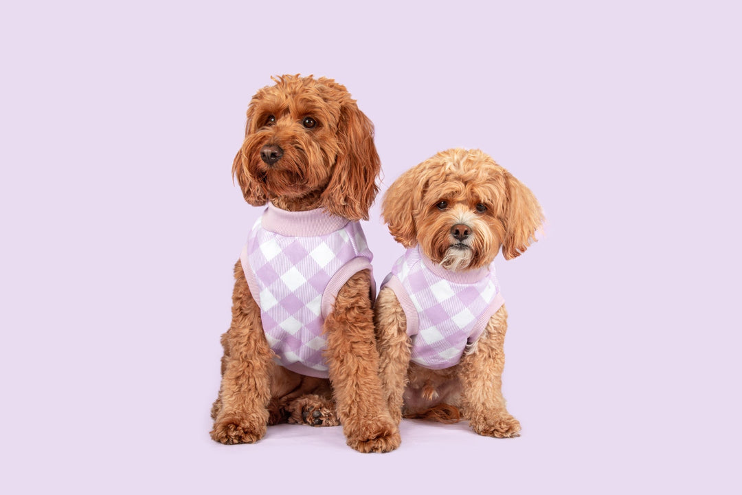 Dog Fleece Pyjamas | Berry Gingham