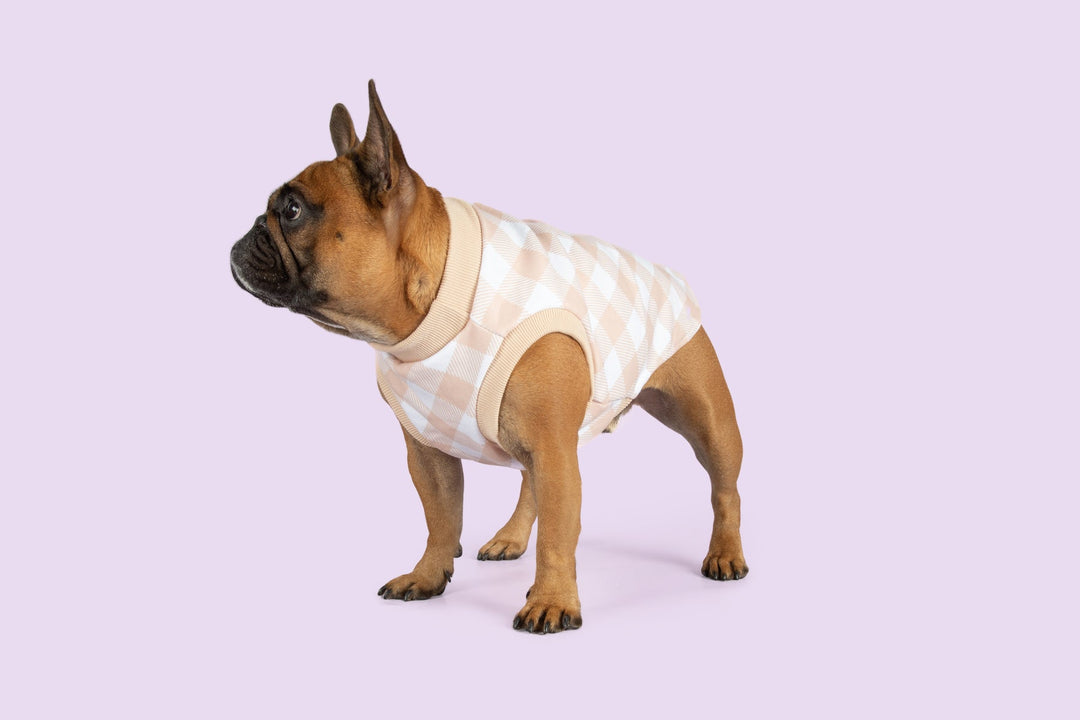 Dog Fleece Pyjamas | Latte Gingham