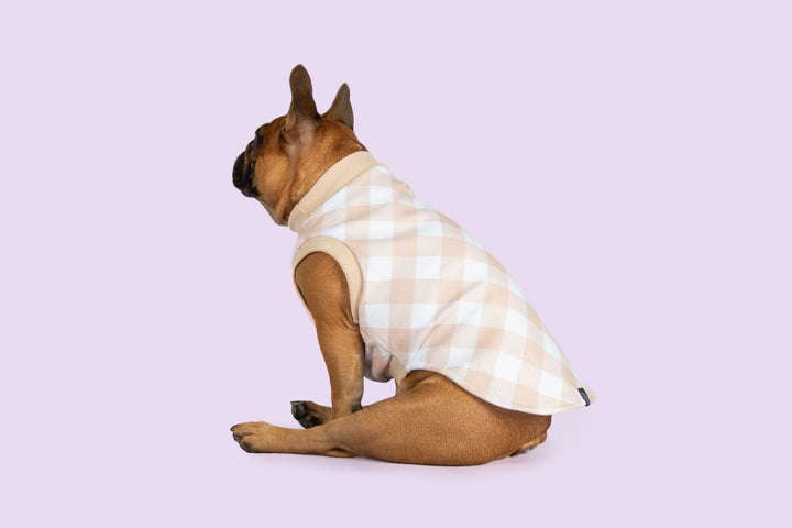 Dog Fleece Pyjamas | Latte Gingham