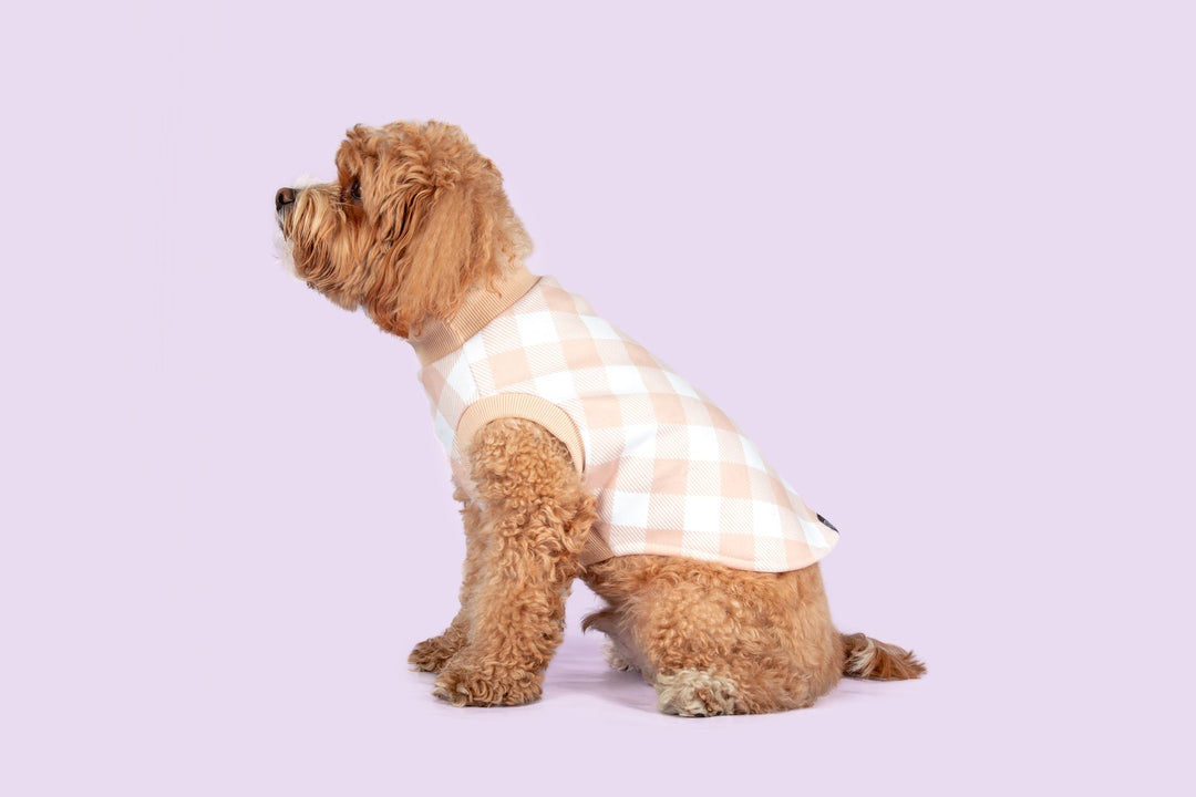 Dog Fleece Pyjamas | Latte Gingham