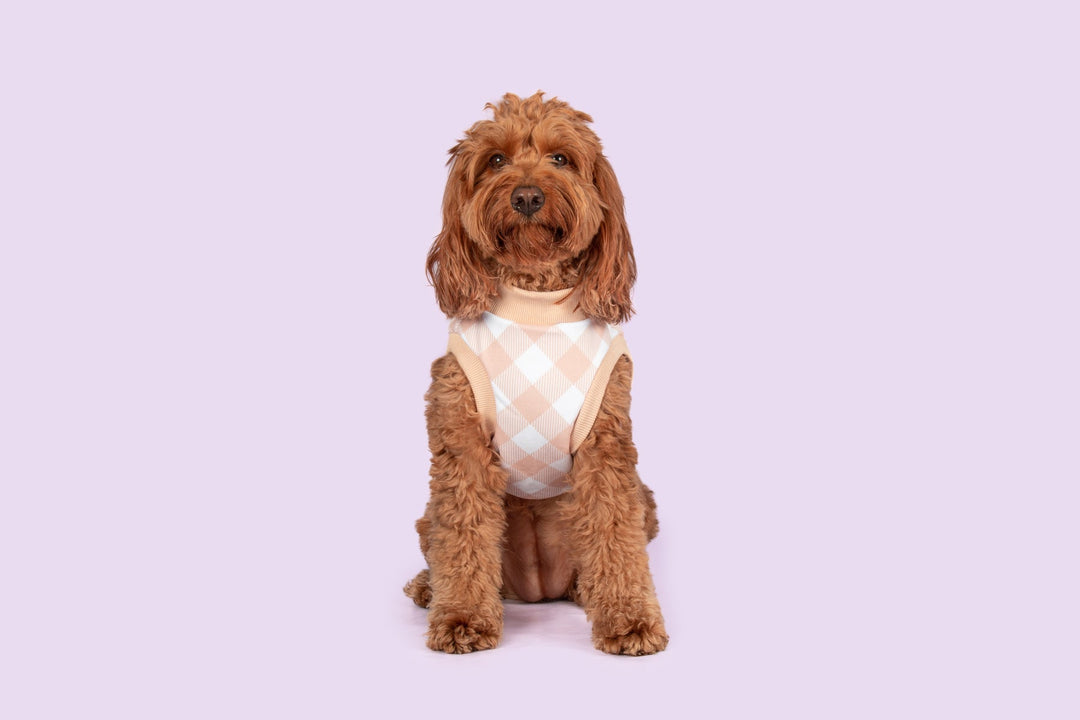 Dog Fleece Pyjamas | Latte Gingham