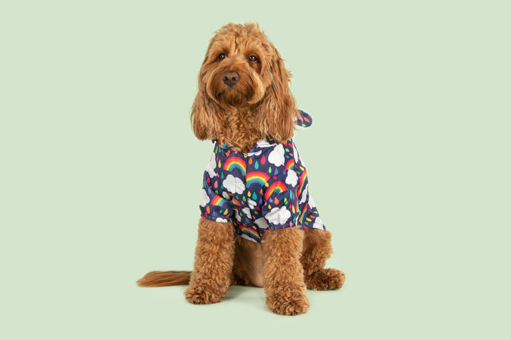 Dog Raincoat | Don't Rain On My Parade