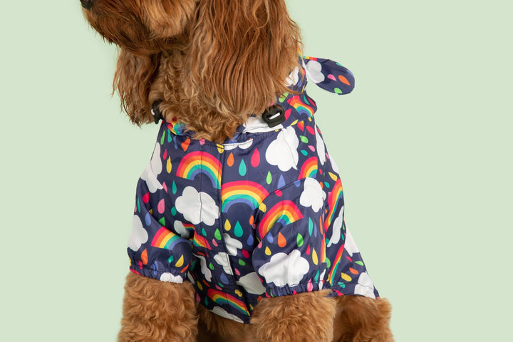 Dog Raincoat | Don't Rain On My Parade