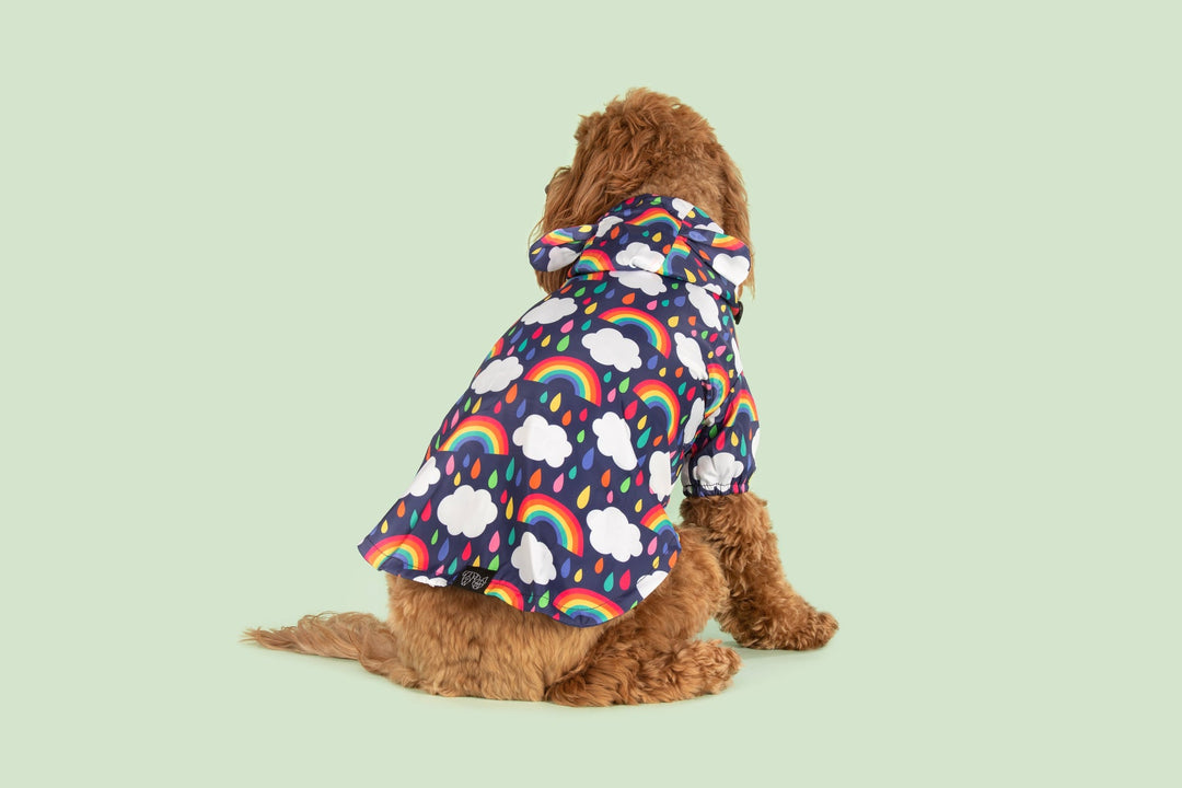 Dog Raincoat | Don't Rain On My Parade