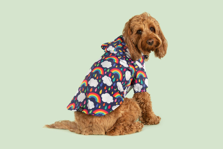 Dog Raincoat | Don't Rain On My Parade