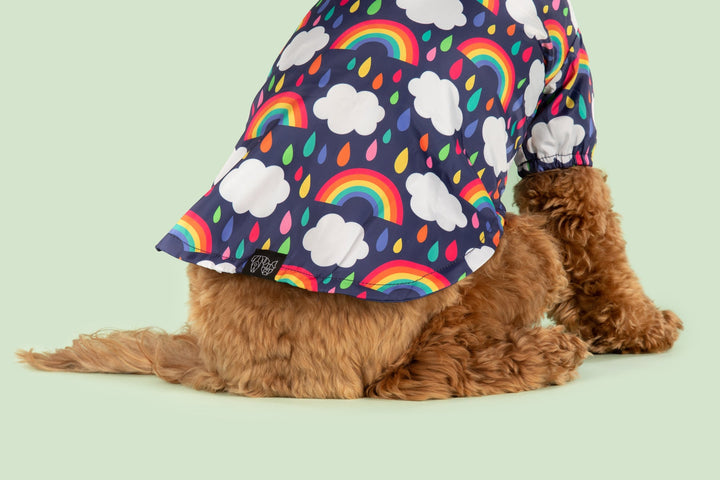 Dog Raincoat | Don't Rain On My Parade