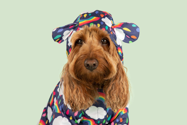 Dog Raincoat | Don't Rain On My Parade