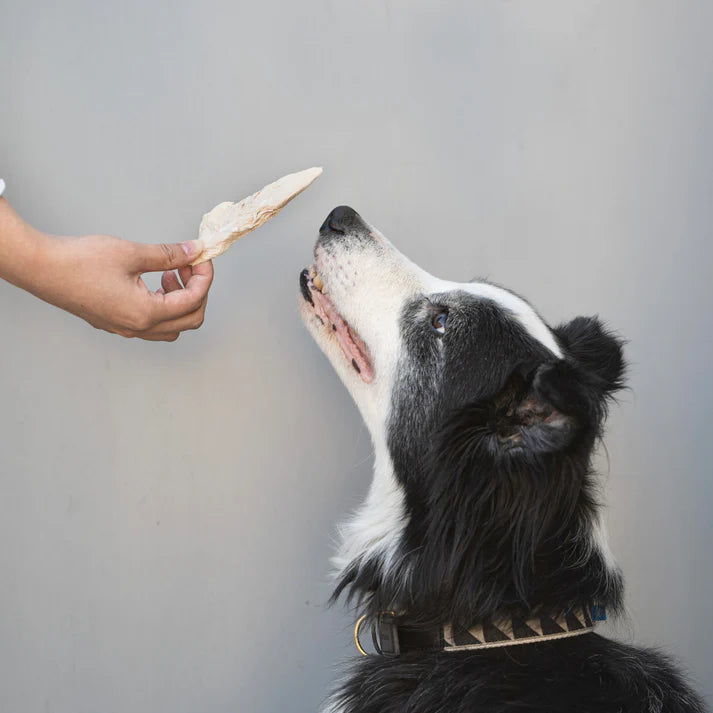 Freeze Dried Duck Breast