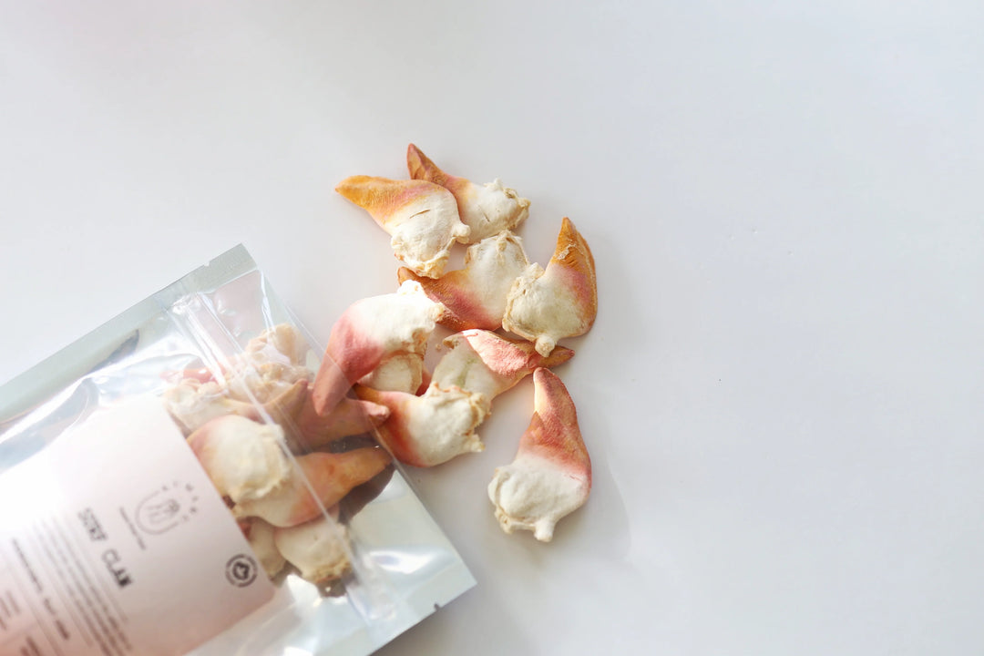 Freeze Dried Surf Clam