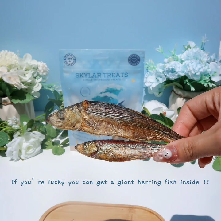 Air Dried Herring Fish