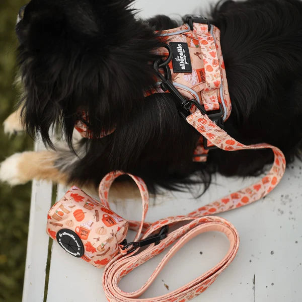 Dog Leash | Pumpkin Harvest