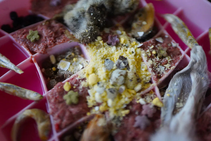 Freeze-Dried Quail Egg Topper | Litto Howler