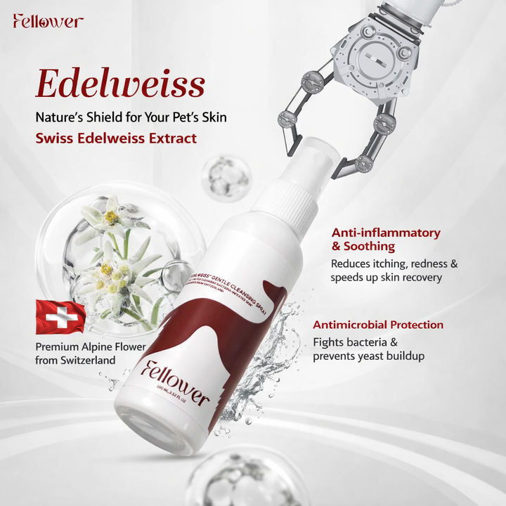 Indoor Paw & Intimate Cleansing Spray